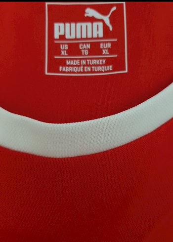 Sırbistan Forma - Görsel 4