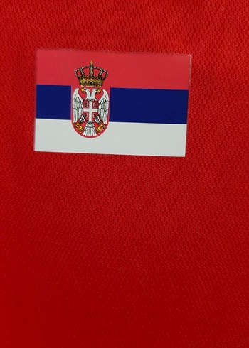 Sırbistan Forma - Görsel 7