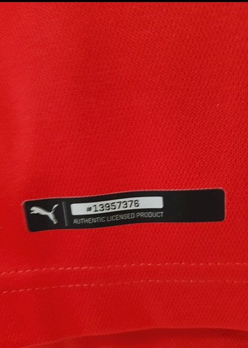 Sırbistan Forma - Görsel 5