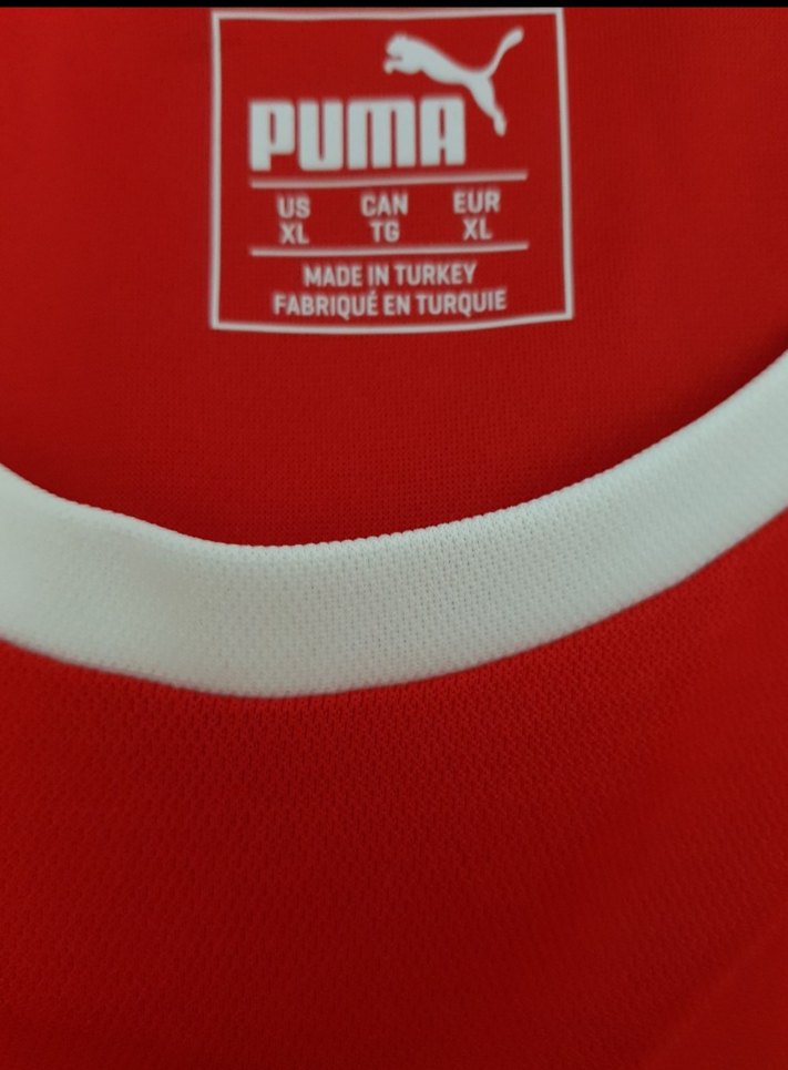 Sırbistan Forma - Görsel 4