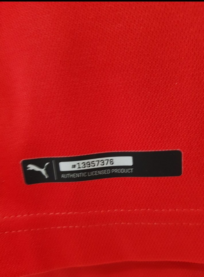 Sırbistan Forma - Görsel 5