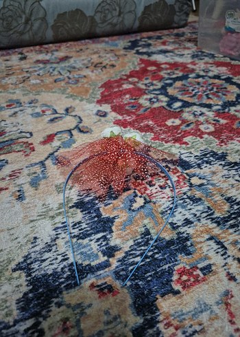 Çiçekli Boncuklu Renkli Çocuk Saç Bandı - Görsel 2