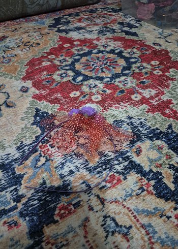 Boncuklu Çok Renkli Bohem Çocuk Saç Bandı - Görsel 2