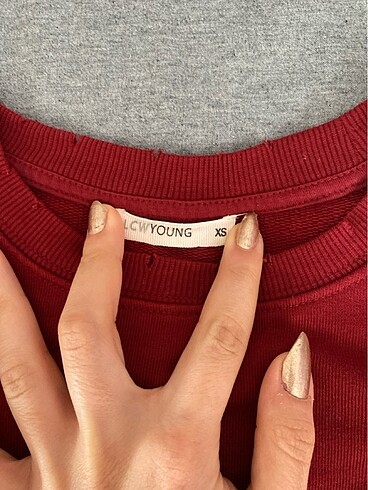 LC Waikiki lcw sweatshirt