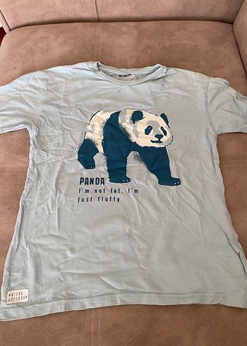 Erkek Çocuk Panda Baskılı Tişört