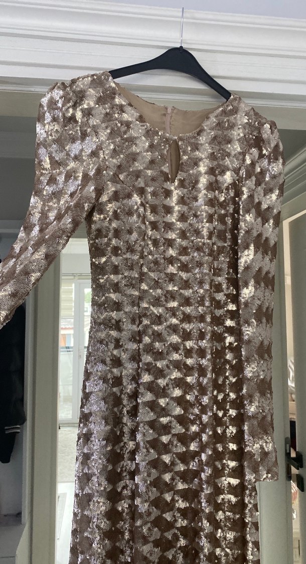 Bej Yılan Desenli Uzun Drapeli Kadın Abiye Elbise - Görsel 2