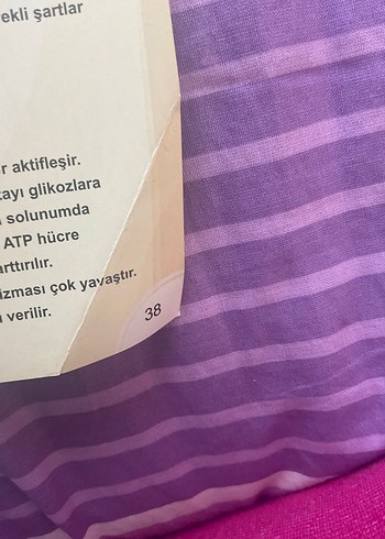 Ayt biyoloji poster notları KR akademi - Görsel 4