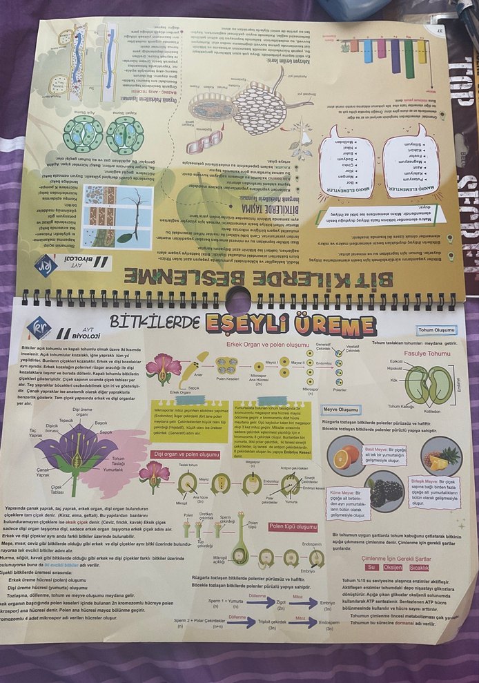 Ayt biyoloji poster notları KR akademi - Görsel 3