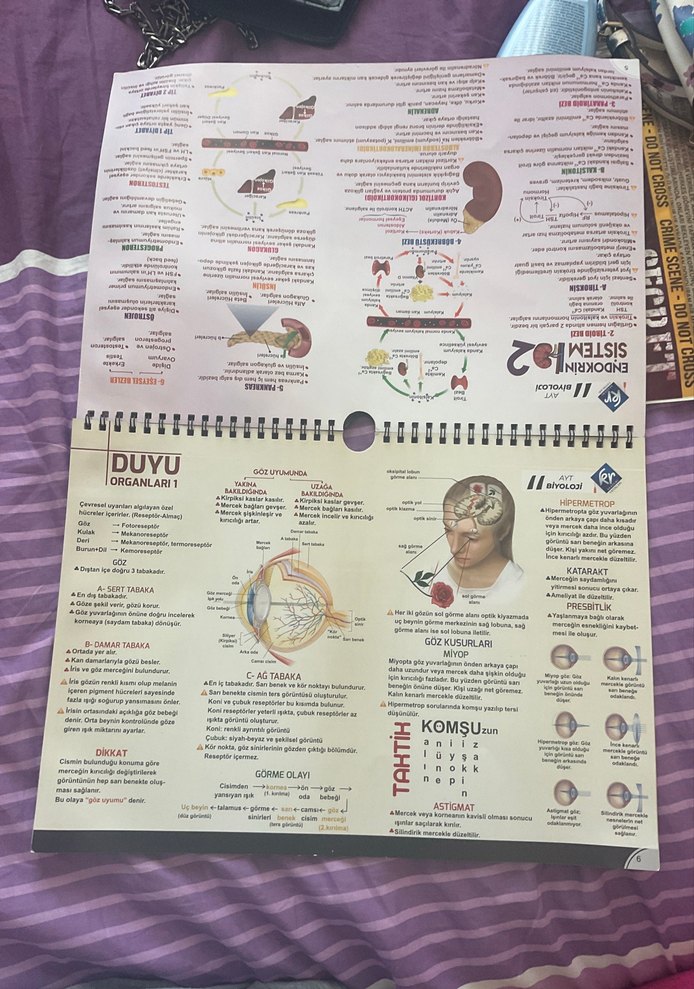 Ayt biyoloji poster notları KR akademi - Görsel 2
