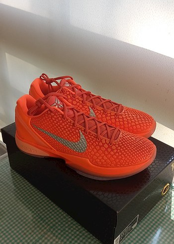 Kobe 6