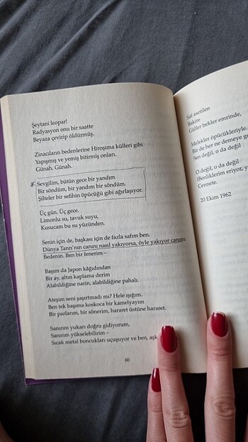 Sylvıa plath