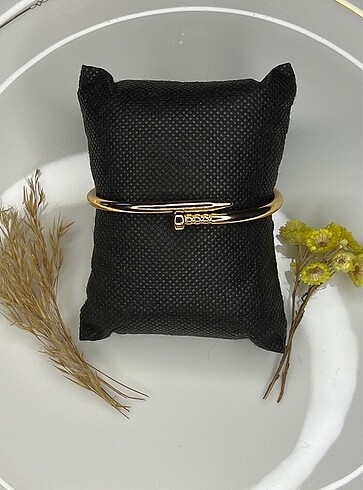 Diğer Cartier bileklik özel ilan