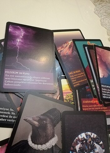 DOĞANIN RUHU KARTLARI TAROT