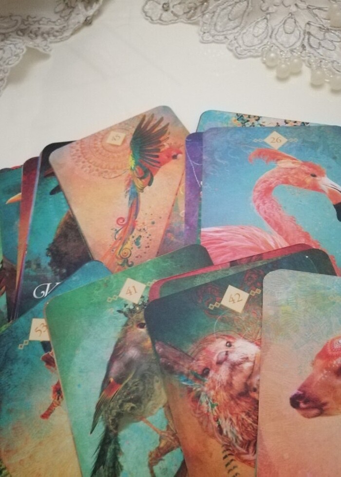 RUH HAYVANLARI KEHANET KARTLARI TAROT - Görsel 2