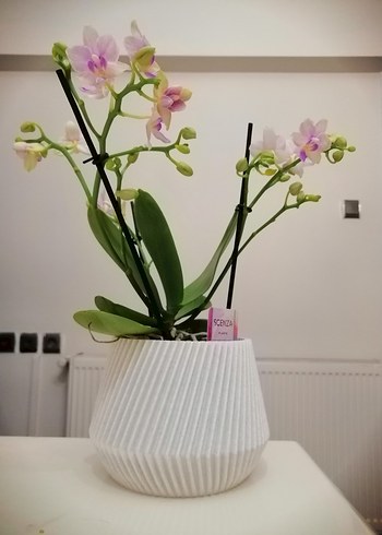 Plastik Dış Saksı (ADET FİYATIDIR) - Görsel 6