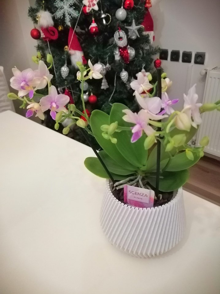 Plastik Dış Saksı (ADET FİYATIDIR) - Görsel 3