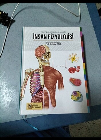 İnsan fizyolojisi 