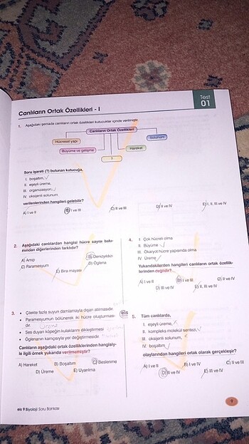 9. sınıf biyoloji soru bankası - Görsel 6