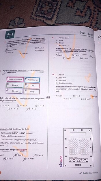 9. sınıf biyoloji soru bankası - Görsel 7