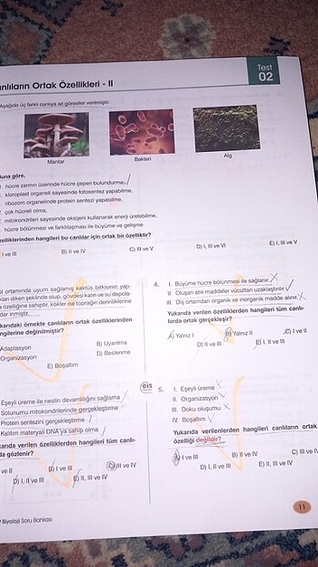 9. sınıf biyoloji soru bankası - Görsel 8