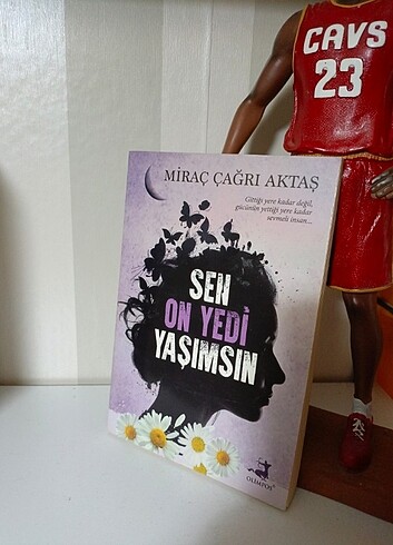 Sen 17 yaşımsın kitabı