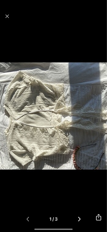 Dantelli crop