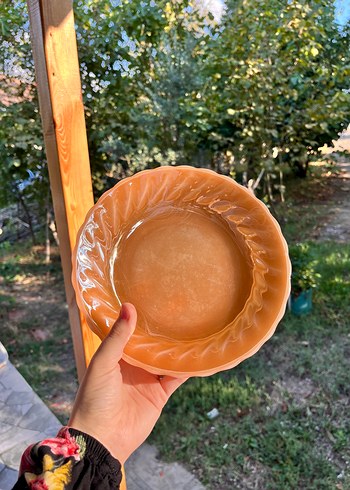 Diğer Pastel Bej Yiyecek Kabı