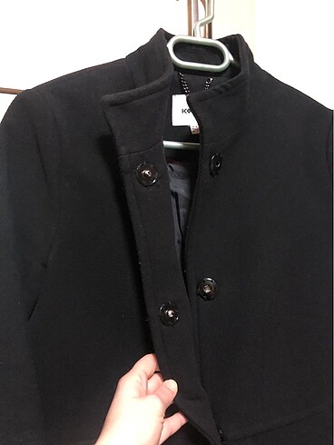 Siyah kaban - Görsel 7