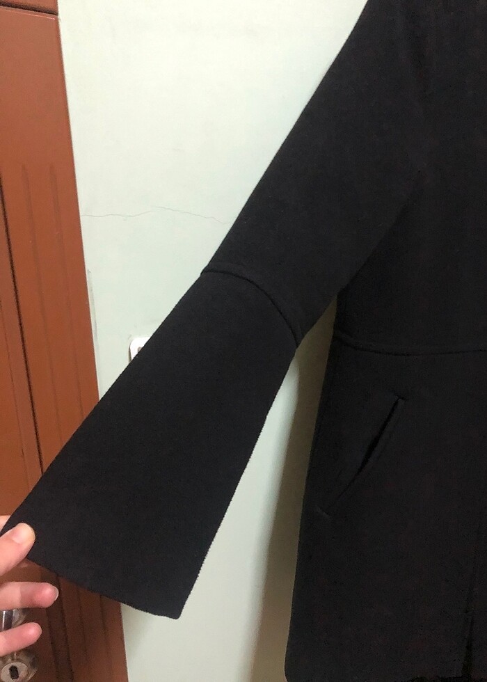 Siyah kaban - Görsel 2