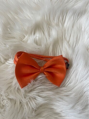 Papyon Kravat Kedi Boyun Tasması - Görsel 3