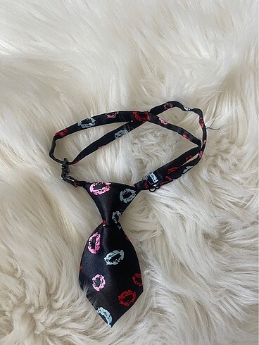 Papyon Kravat Kedi Boyun Tasması - Görsel 2