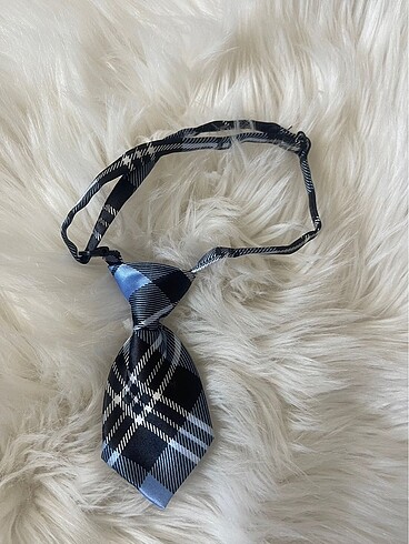Papyon Kravat Kedi Boyun Tasması - Görsel 4