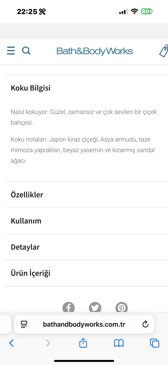 BBW Japanese Cherry Blossom Body Cream - Görsel 4