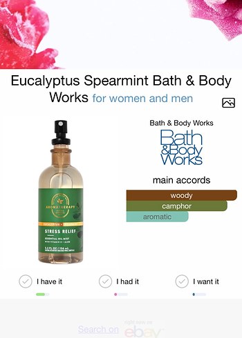 Aromatherapy Eucalyptus Spearmint Vücut Losyonu - Görsel 4