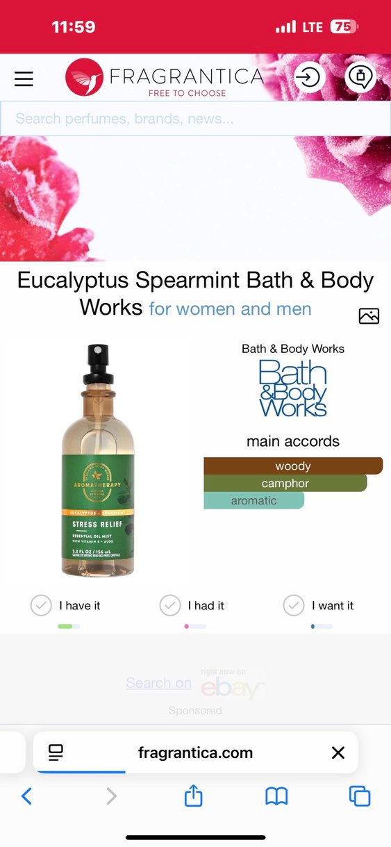 Aromatherapy Eucalyptus Spearmint Vücut Losyonu - Görsel 4