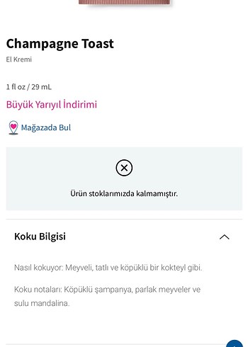 BBW Champagne Toast El Kremi - Görsel 5