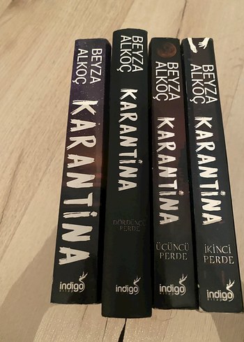 Beyza Alkoç - Karantina Roman Serisi (4 Kitap)