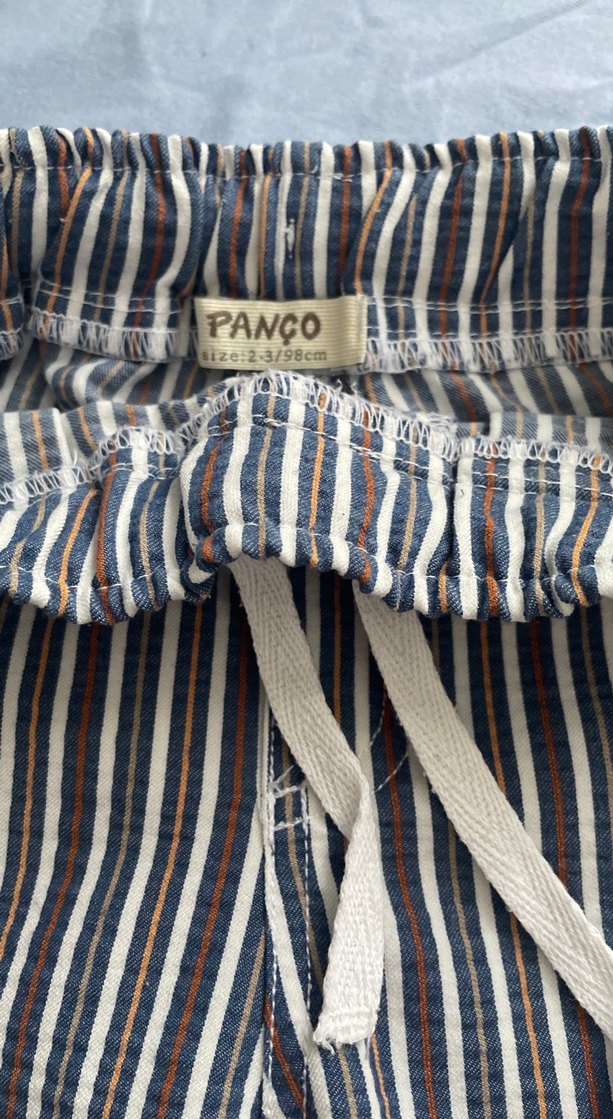 Çizgili Erkek Bağcıklı Pantolon - Görsel 2