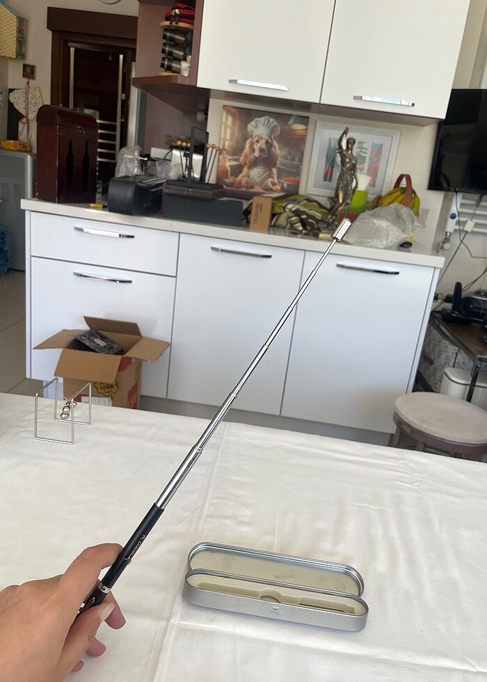 Ataturk pointer lazer - Görsel 2