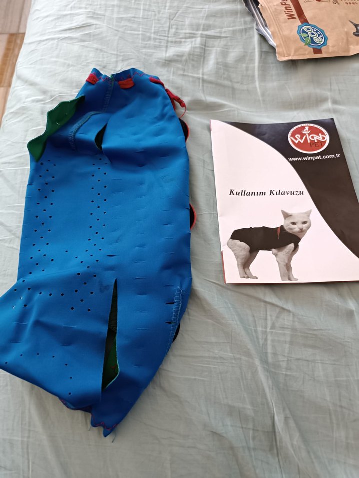 Renkli Baskılı Mavi kedi kopek yara koruyucu korse - Görsel 2