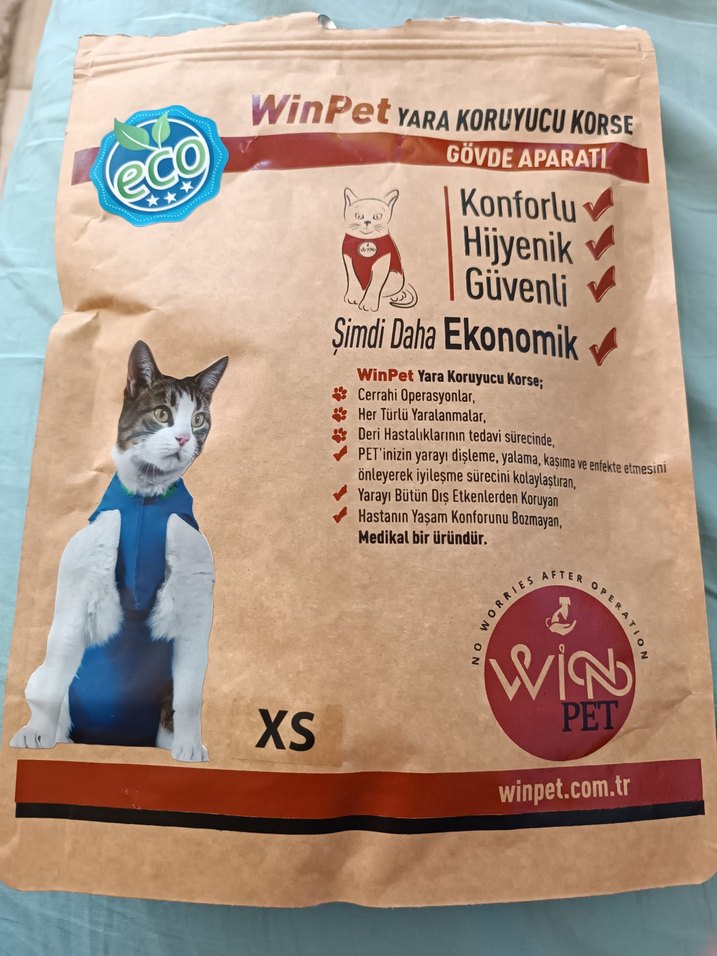 Renkli Baskılı Mavi kedi kopek yara koruyucu korse - Görsel 3