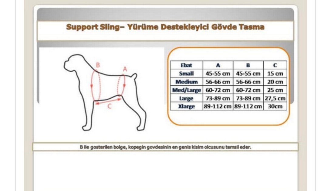 Kopek Gövde Tasması - Görsel 2