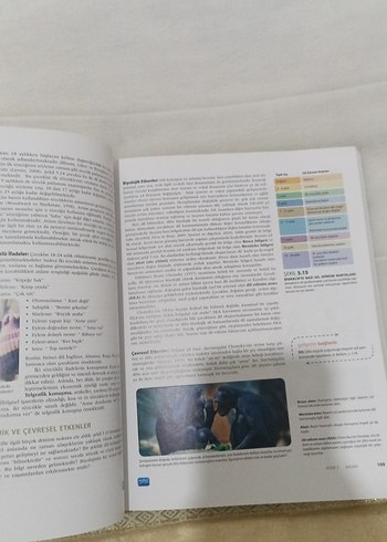 yaşam boyu gelişim - Görsel 2