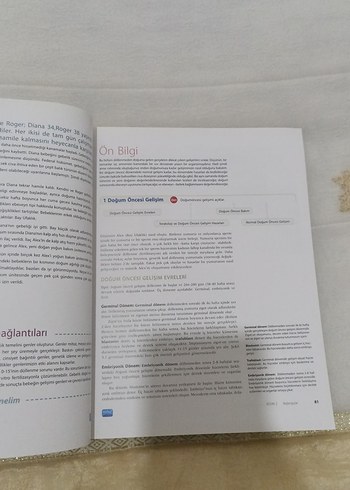 yaşam boyu gelişim - Görsel 3