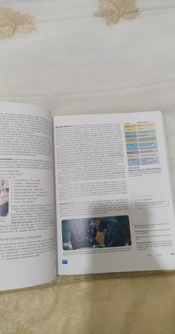 yaşam boyu gelişim - Görsel 2