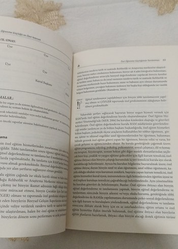 Öğrenme Güçlüğü ve Özel Yetenek Kitabı - Görsel 4