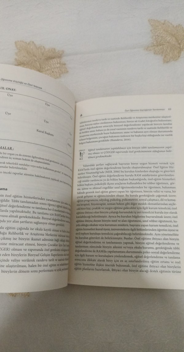 Öğrenme Güçlüğü ve Özel Yetenek Kitabı - Görsel 4