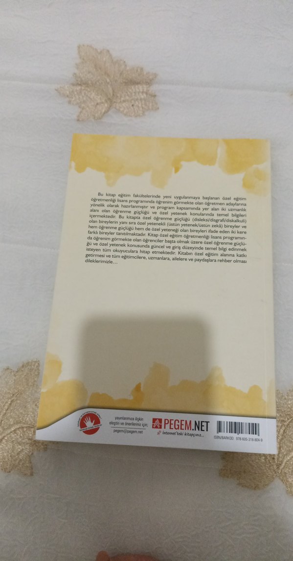 Öğrenme Güçlüğü ve Özel Yetenek Kitabı - Görsel 2