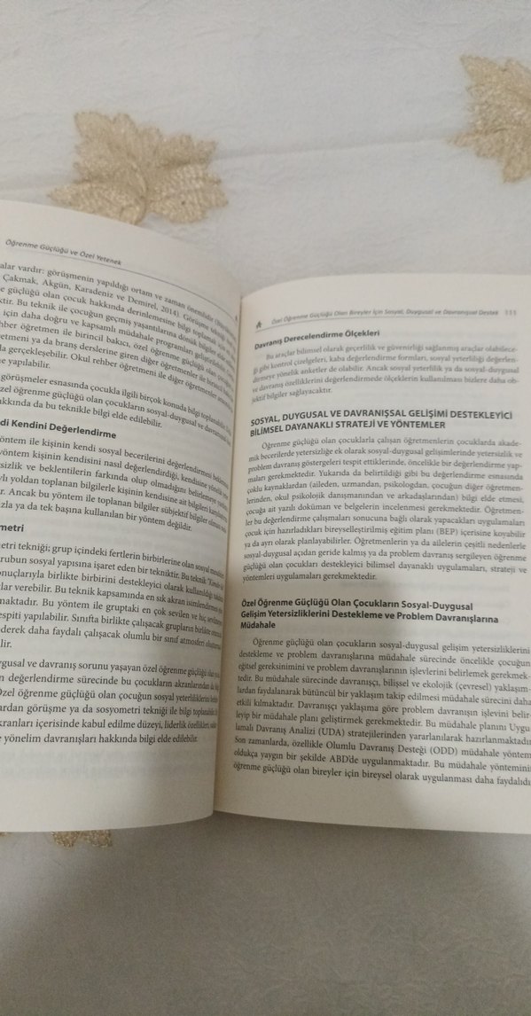 Öğrenme Güçlüğü ve Özel Yetenek Kitabı - Görsel 3