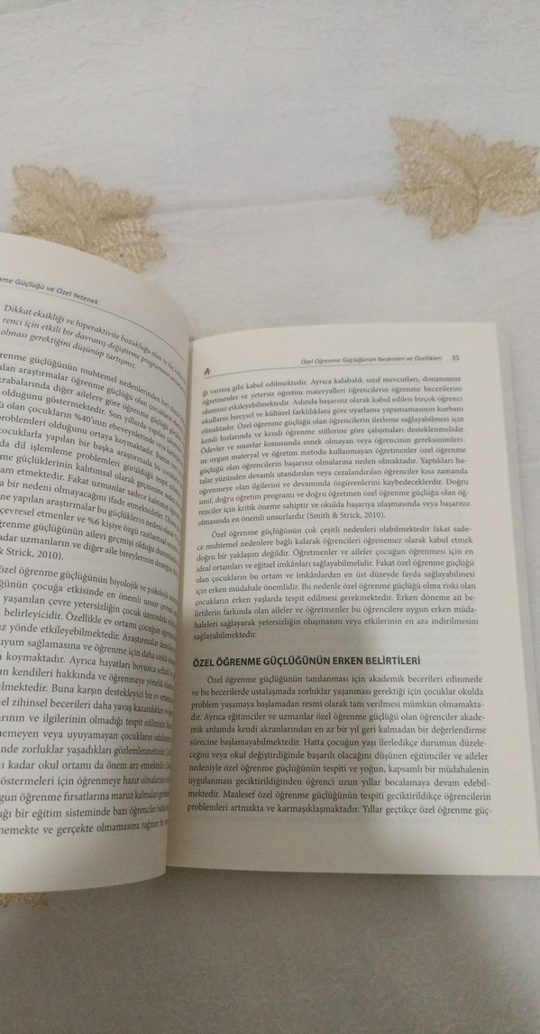 Öğrenme Güçlüğü ve Özel Yetenek Kitabı - Görsel 5